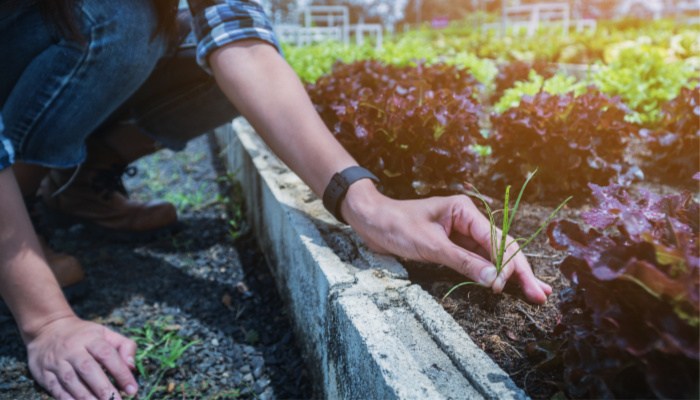 gardening to de-stress