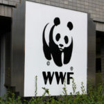Vertebrate Species Declined by 60% Since 1970 Due to Humans, WWF says