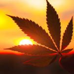 Is Marijuana Legalization on the Horizon for the US?
