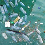 New Plastics Breakthrough Could End Pollution Concerns