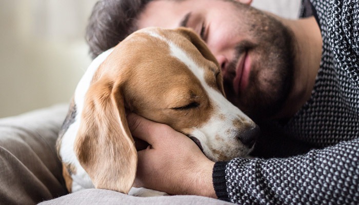 study says you love your pet more than people feat 2