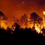California Firefighter Dies Battling El Dorado Blaze
