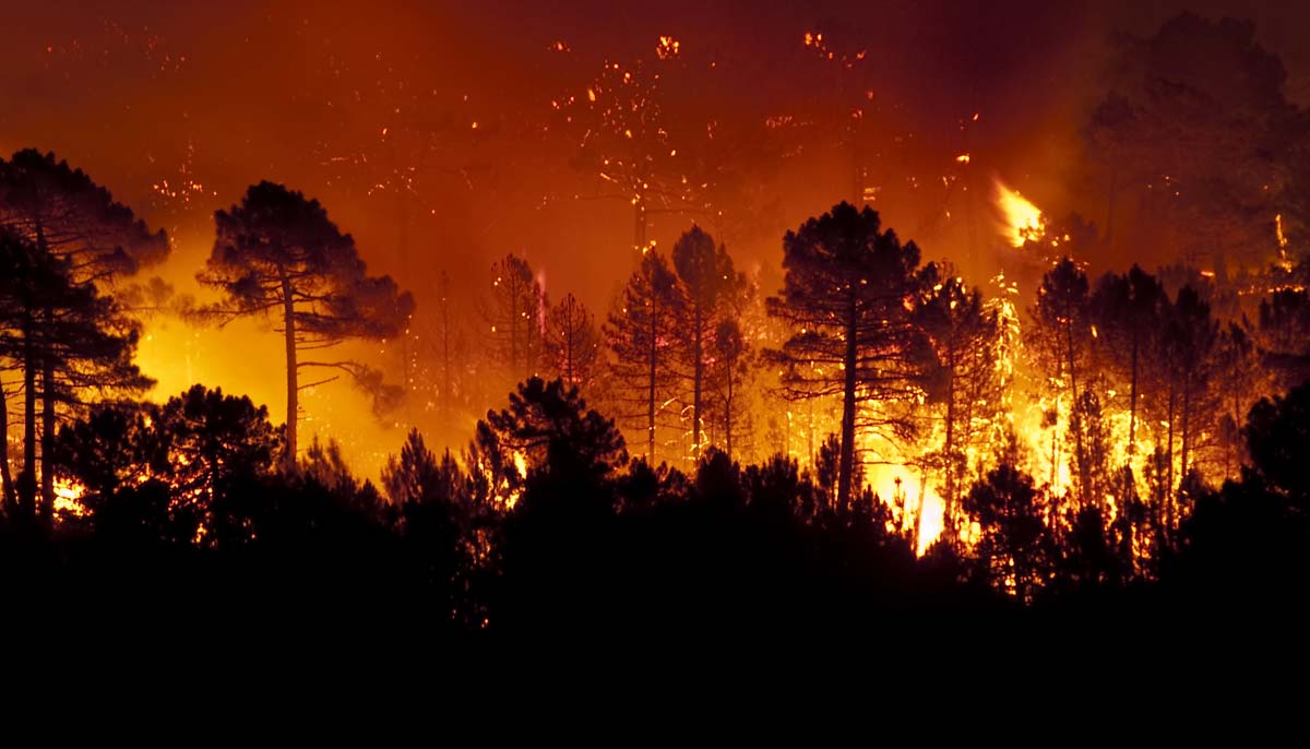 wildfire erupts san bernadino national forest evacuations