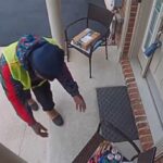 Delightful Video of Delivery Guy Finding Treats Will Leave You Grinning