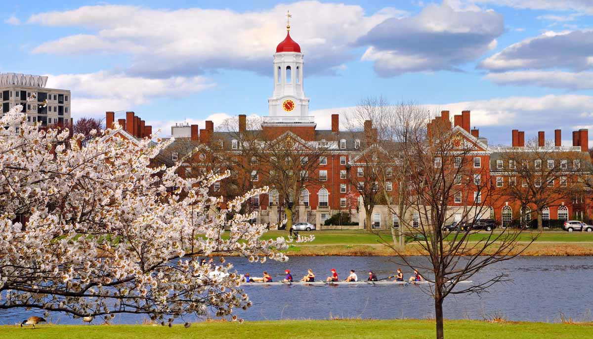Harvard campus in the Spring