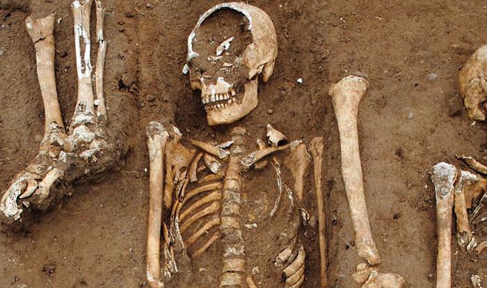 the remains of some of the 48 bodies discovered in a black death mass grave site