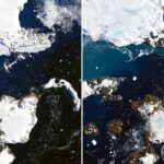 Antarctic Island: Heatwave Melts 20% of Snow in 9 Days