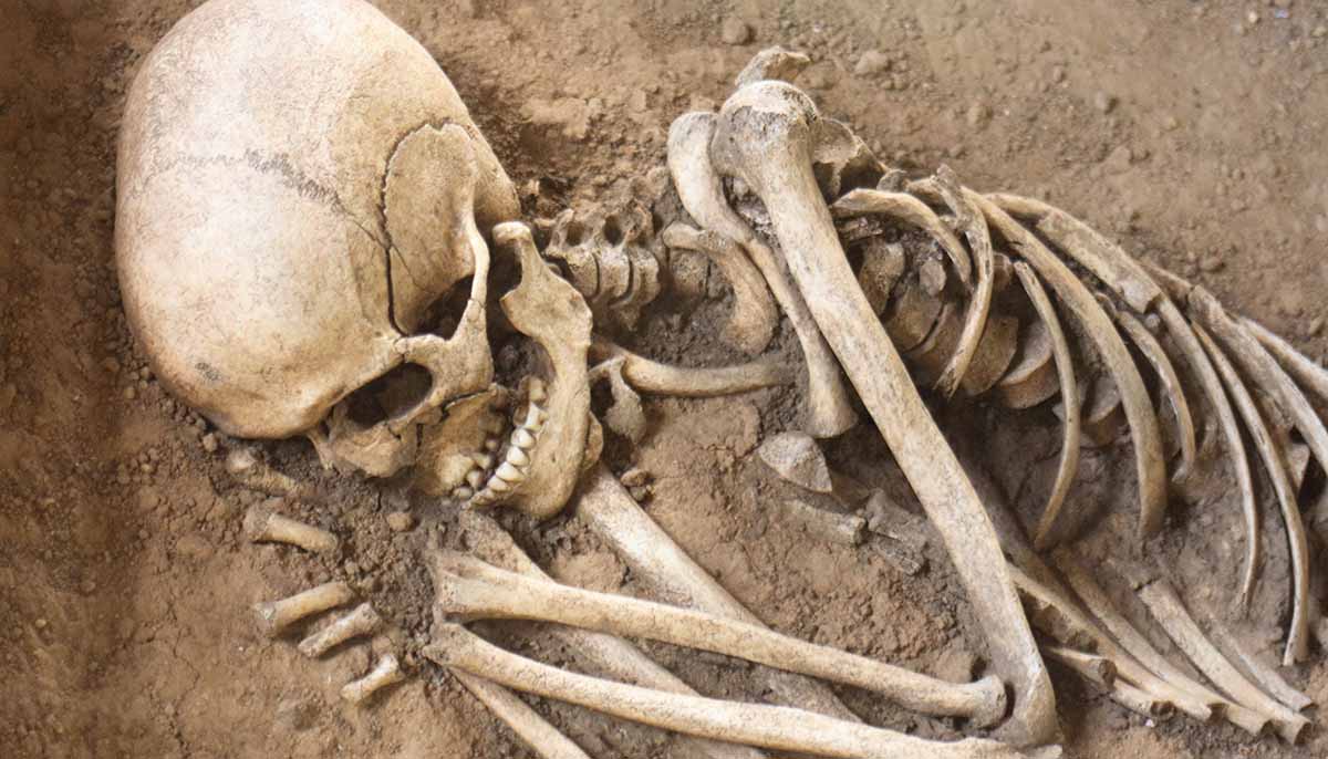 a skeleton unearthed from the ground