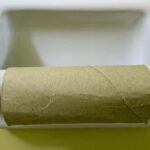 Coronavirus Tainted Knife Fight Over Toilet Paper and More News