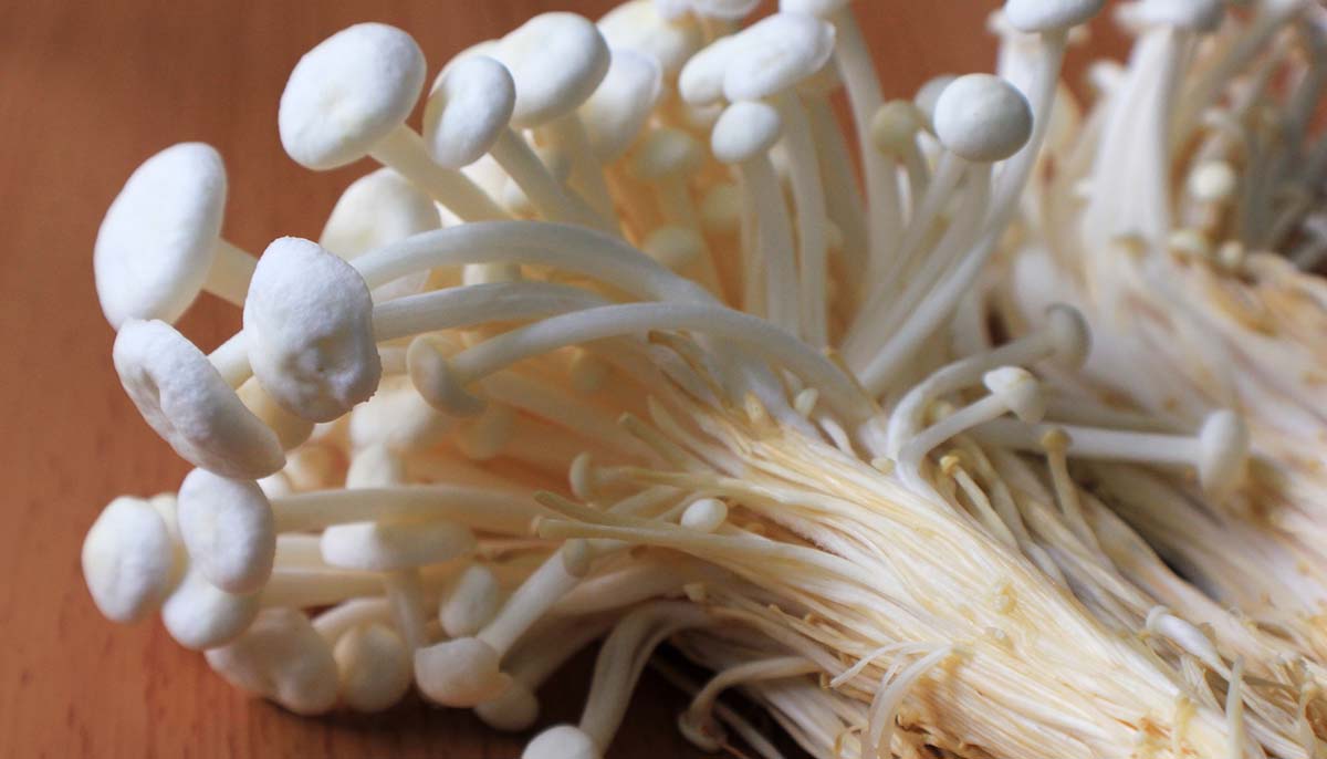 Эноки рецепты приготовления с фото грибы