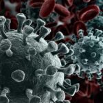 Coronavirus Deaths Beat Flu’s Worst Daily Death Toll and More News