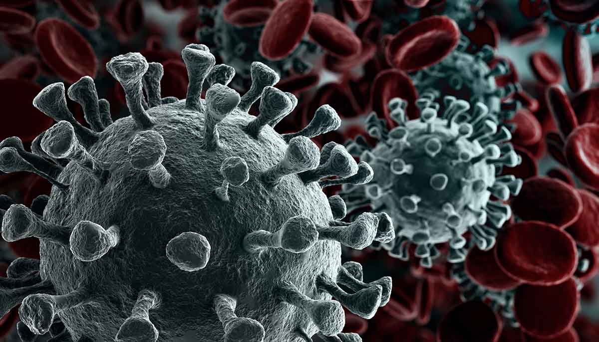 coronavirus concept image